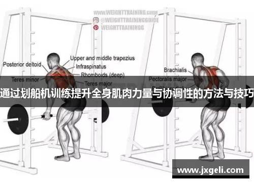 通过划船机训练提升全身肌肉力量与协调性的方法与技巧